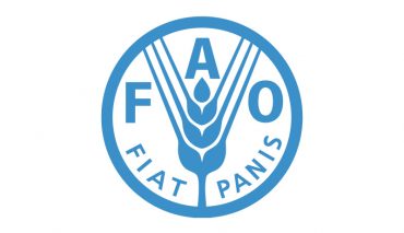 13 fao