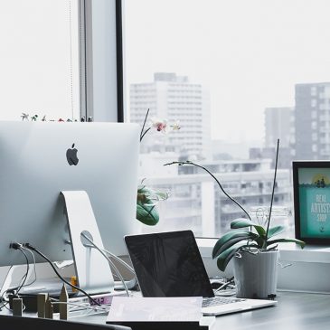 image3 Lorem ipsum dolor sit amet conse ctetur adipisicin